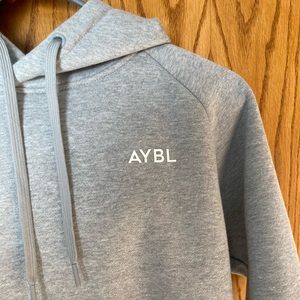 NWOT AYBL STAPLE HOODIE GREY